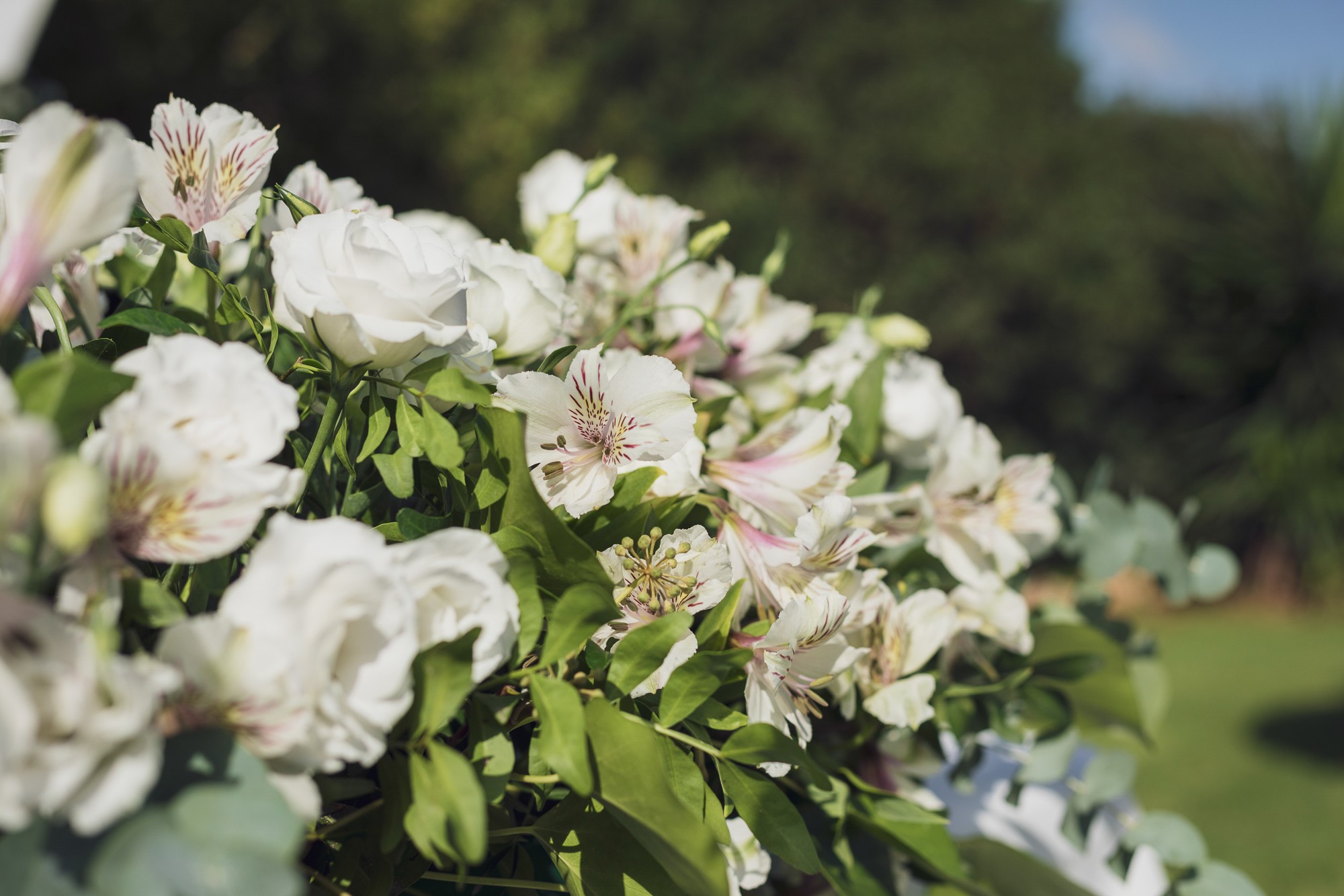 018-Boda Felix y Roberto