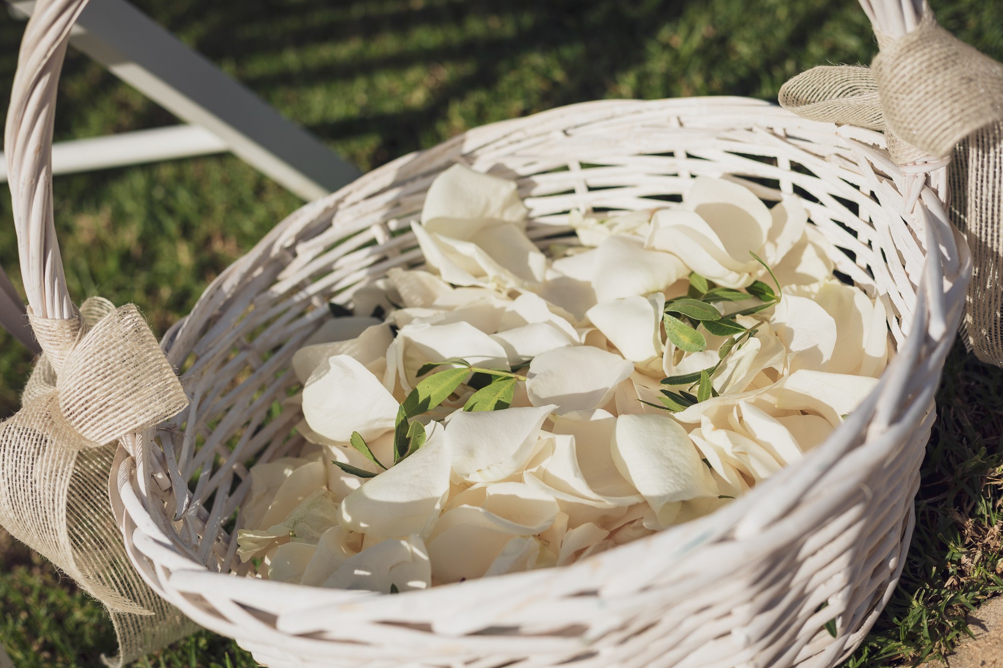 019-Boda Felix y Roberto